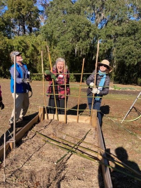 Setting up trellis